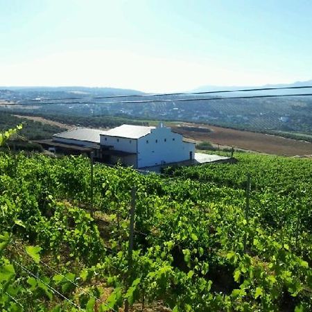 Bodegas Morosanto La Cimada Exterior foto