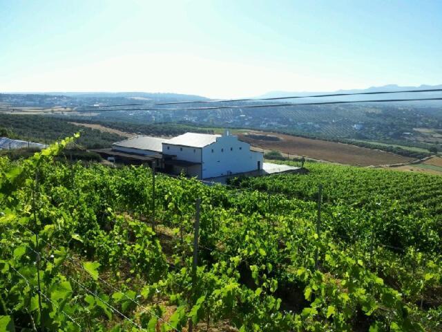 Bodegas Morosanto La Cimada Exterior foto
