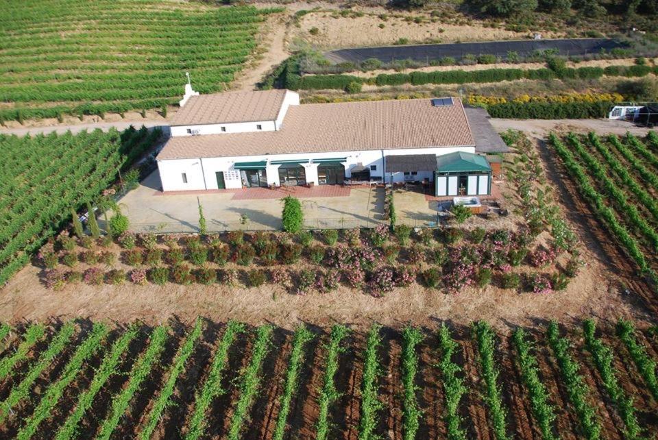 Bodegas Morosanto La Cimada Exterior foto