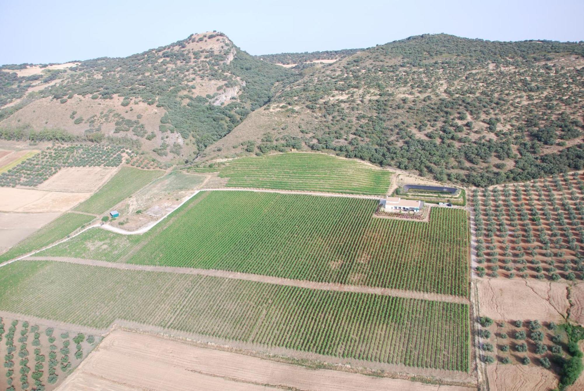 Bodegas Morosanto La Cimada Exterior foto